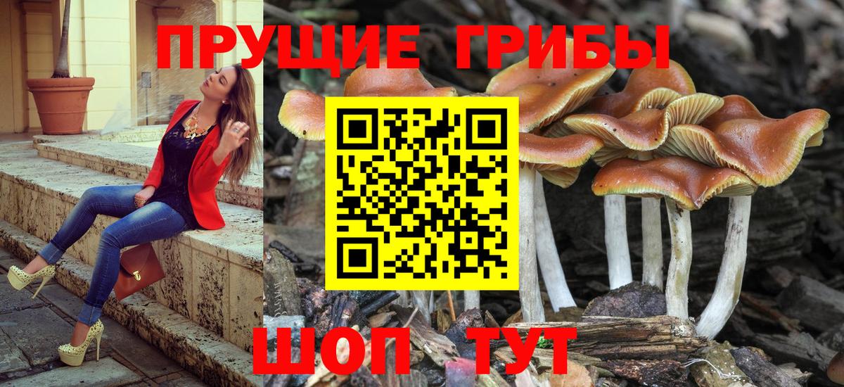 Псилоцибиновые грибы ЛСД Ростов Великий