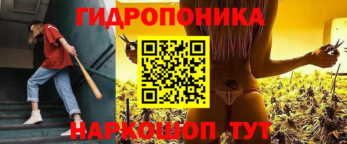 Ростов Великий  МАРИХУАНА Bruce Banner  Вход с VPN  Марихуана индика  Шишки марихуана планчик 